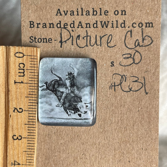 Picture Cabochon - Cabochon - PC31 9481A2EF-4706-424C-8CDA-AAE44701D440 Brandedandwild.com