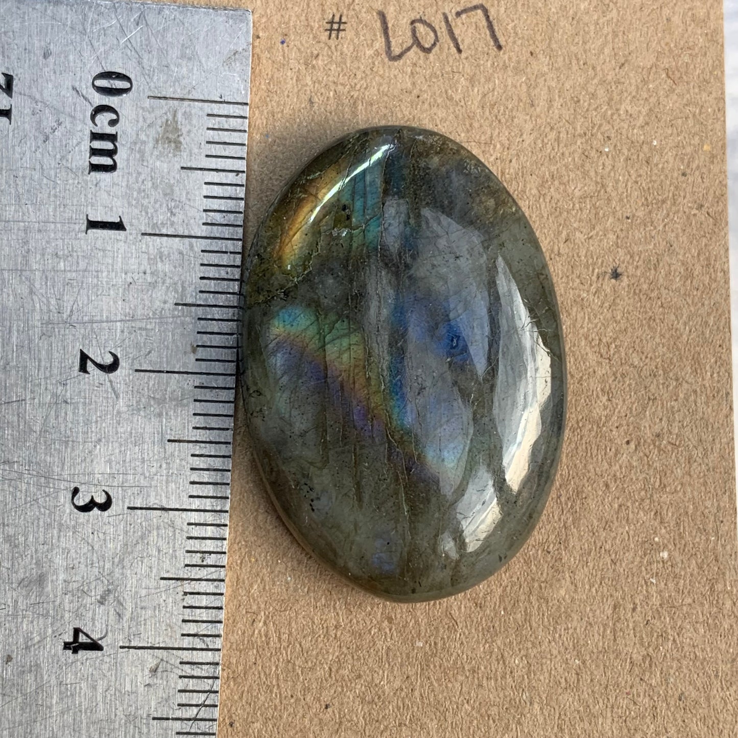 Labradorite Cabochon - L017