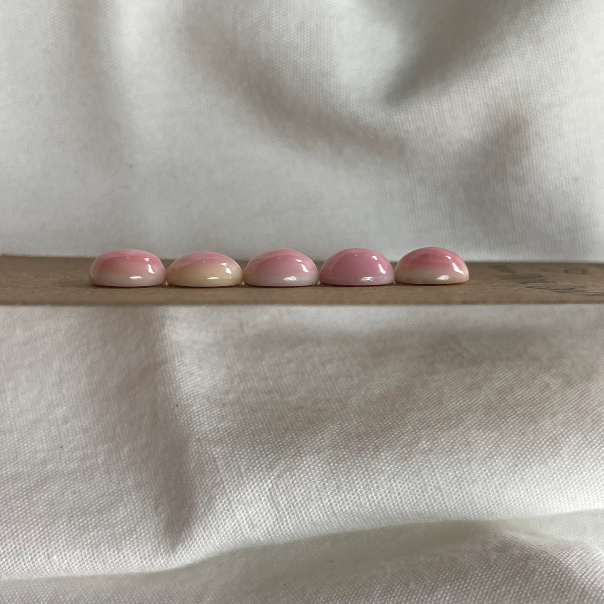 Pink Conch Cabochon - PC59 94894F46-D35E-41A7-AD36-45B5FD8611CA Brandedandwild.com