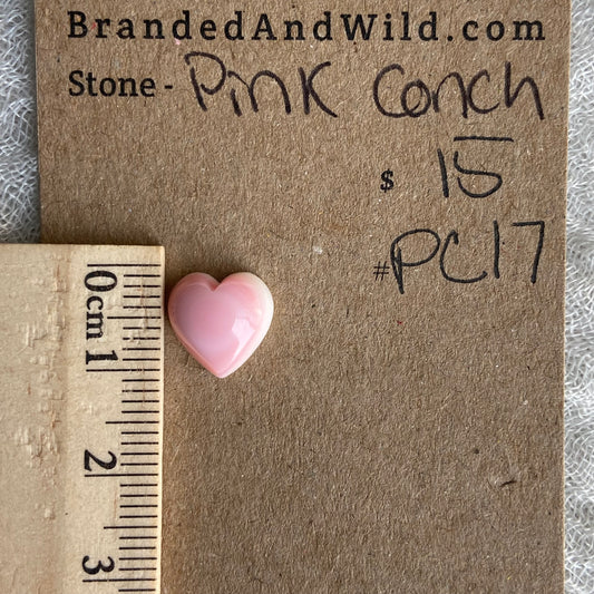 Pink Conch Cabochon - PC17