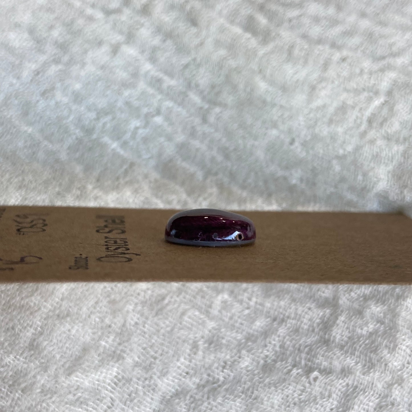 Oyster Shell Cabochon - OS59