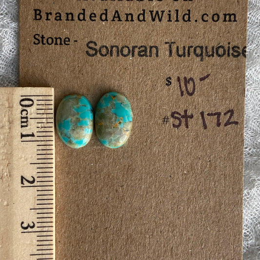 Sonoran Turquoise Cabochon - ST172