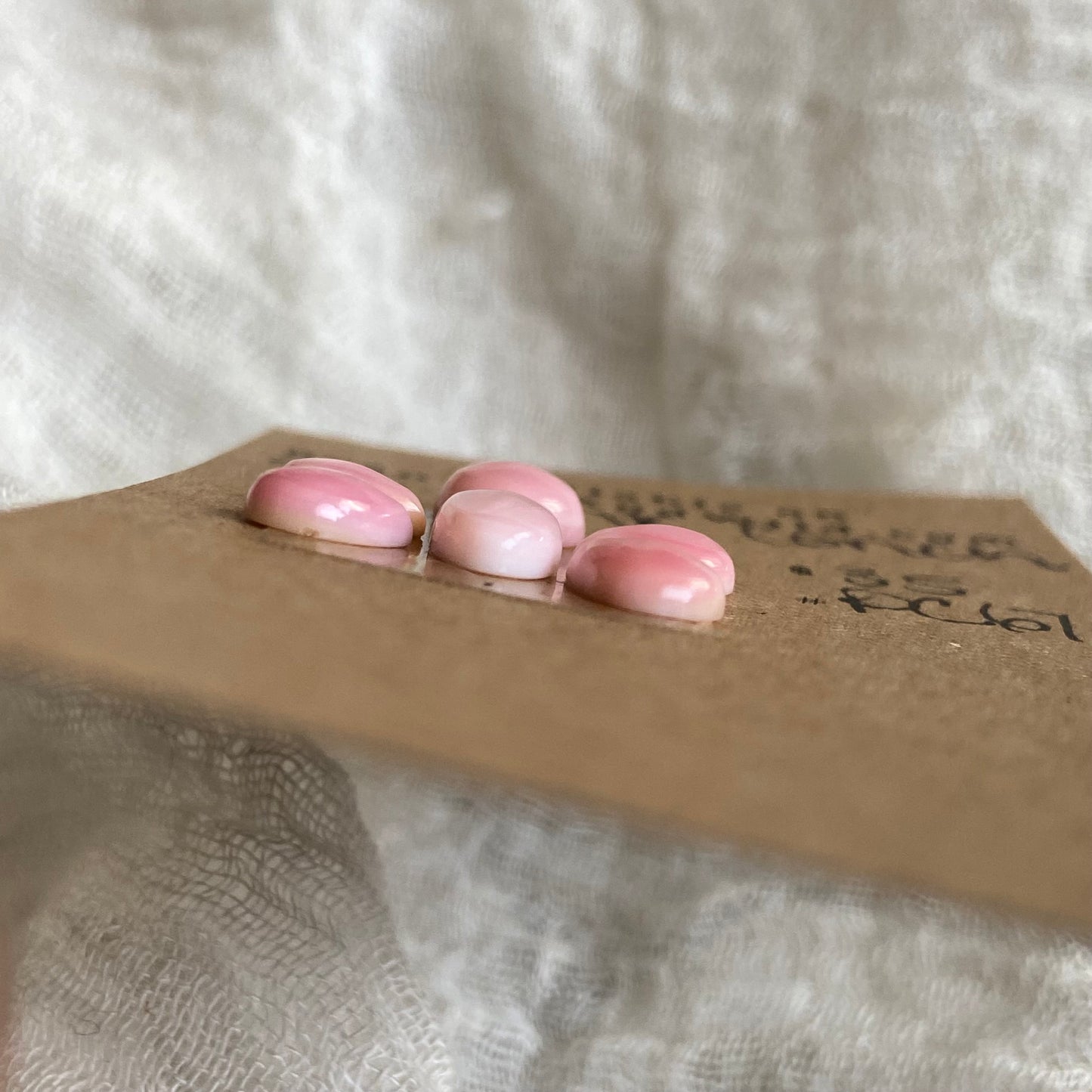 Pink Conch Cabochon - PC67 94DB4620-6B5C-4B3B-8A59-E05A575990EB Brandedandwild.com