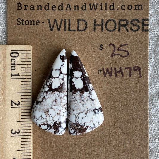 Wild Horse Cabochon - WH79
