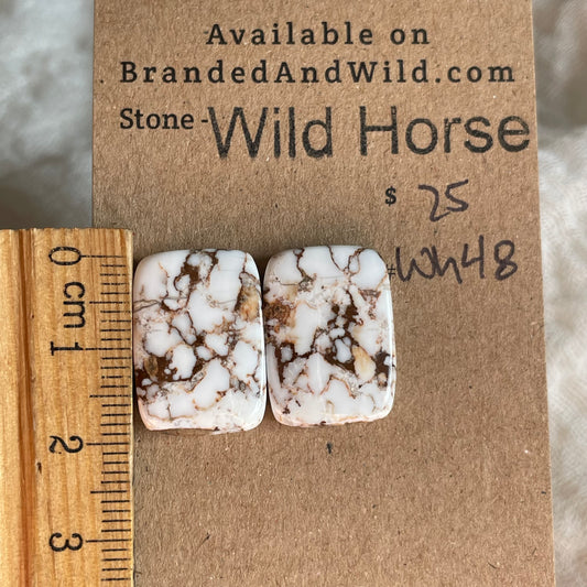 Wild Horse Cabochon - WH48