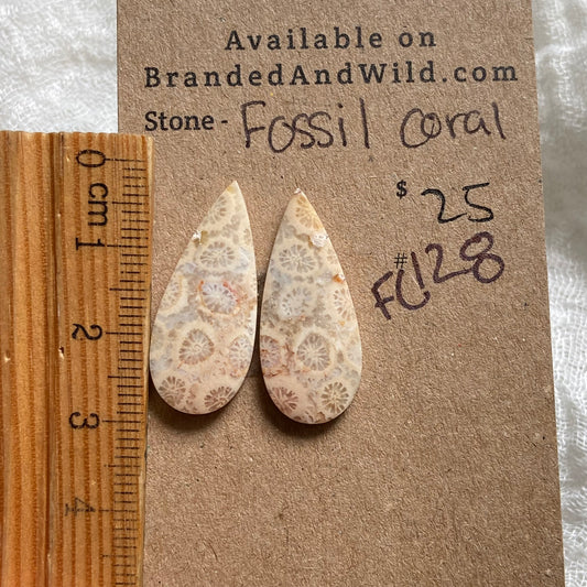 Fossil Coral Cabochon - FC128 954F0541-852F-45AA-95EF-1CBE51AAF787 Brandedandwild.com