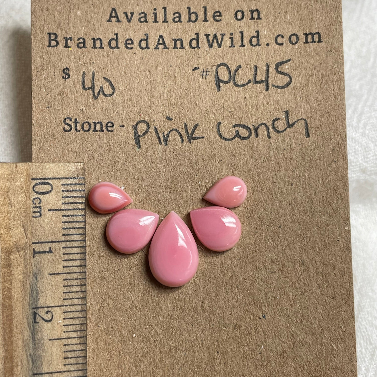 Pink Conch Cabochon - PC45 956AD971-FBC7-46F4-84CB-9D0CC1E21D51 Brandedandwild.com