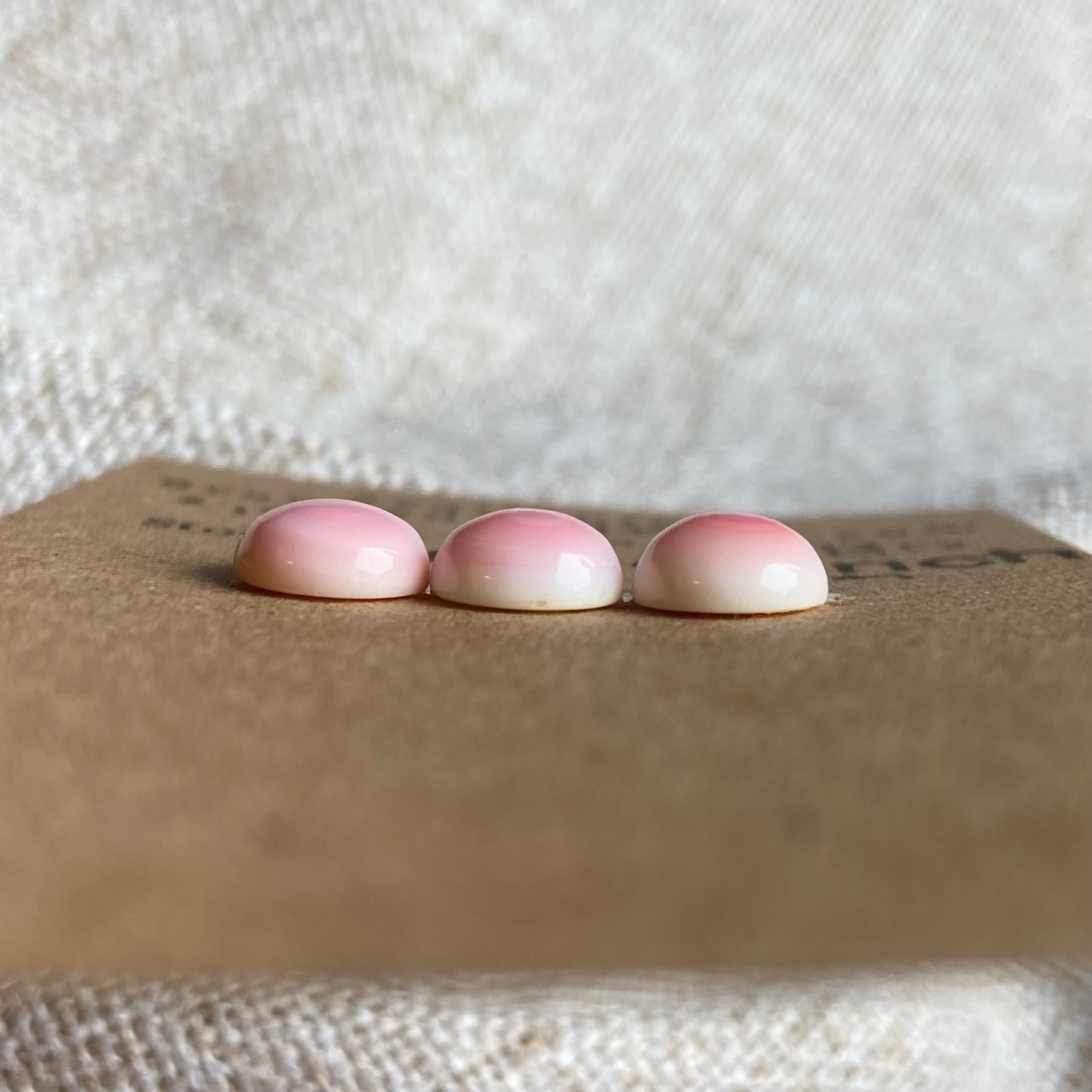 Pink Conch Cabochon - PC80 95713A57-87F9-4B07-BE03-ED9FB28B694C Brandedandwild.com