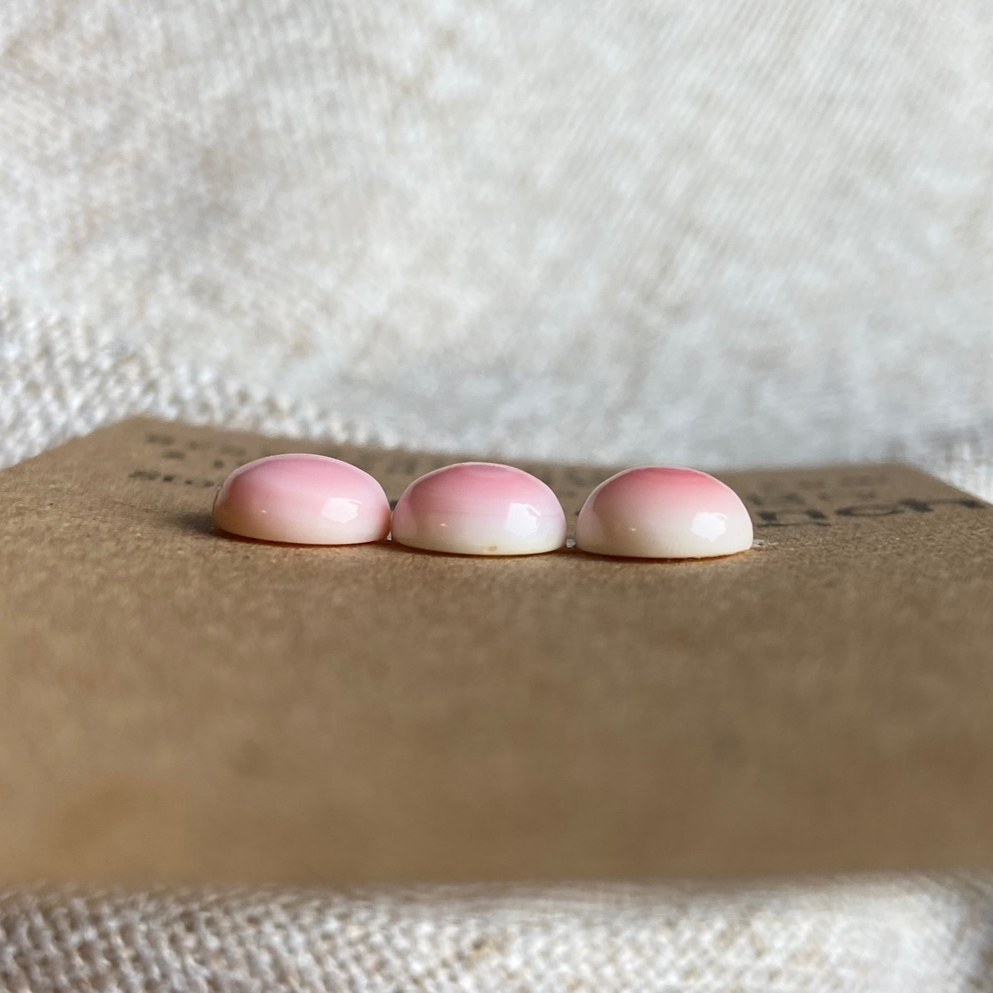 Pink Conch Cabochon - PC80 95713A57-87F9-4B07-BE03-ED9FB28B694C Brandedandwild.com