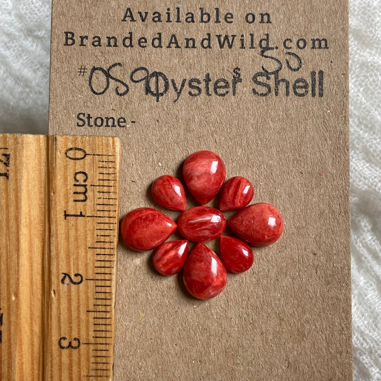 Oyster Shell Cabochon - OS90