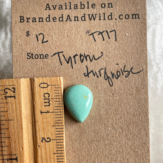 Tyrone Turquoise Cabochon - TT17 9595DEEC-EF75-4A06-A9BC-D4840F233994 Brandedandwild.com