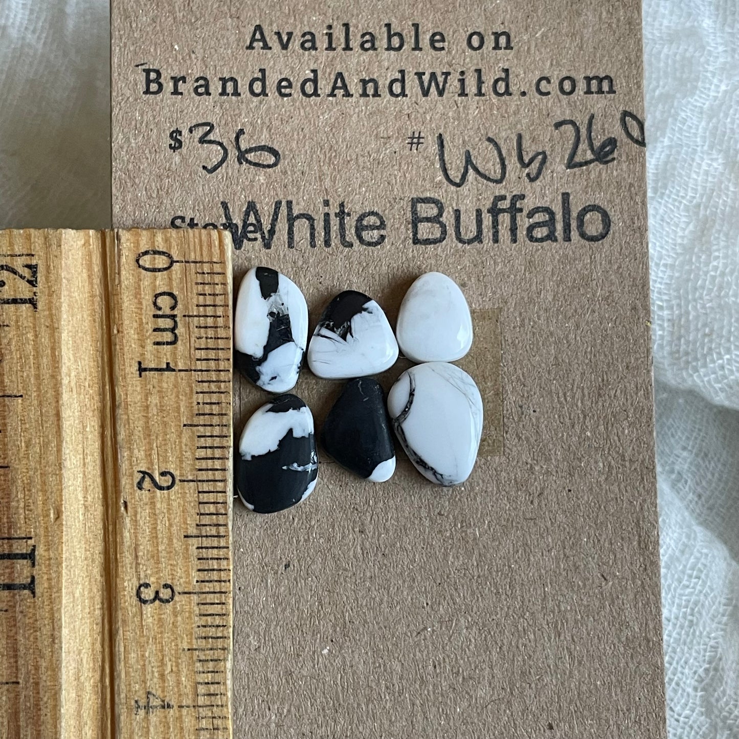 White Buffalo Cabochon - WB260