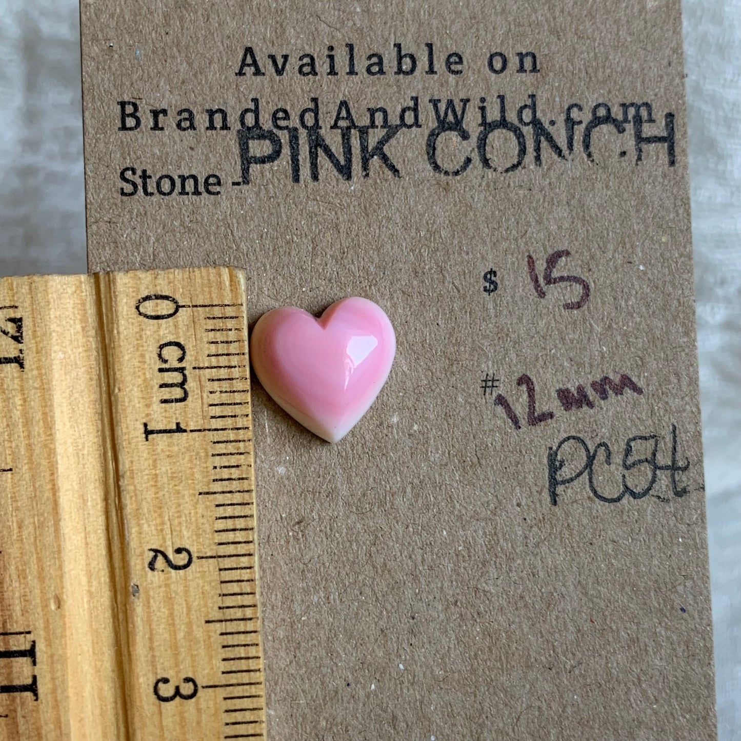 Pink Conch Cabochon - PC54