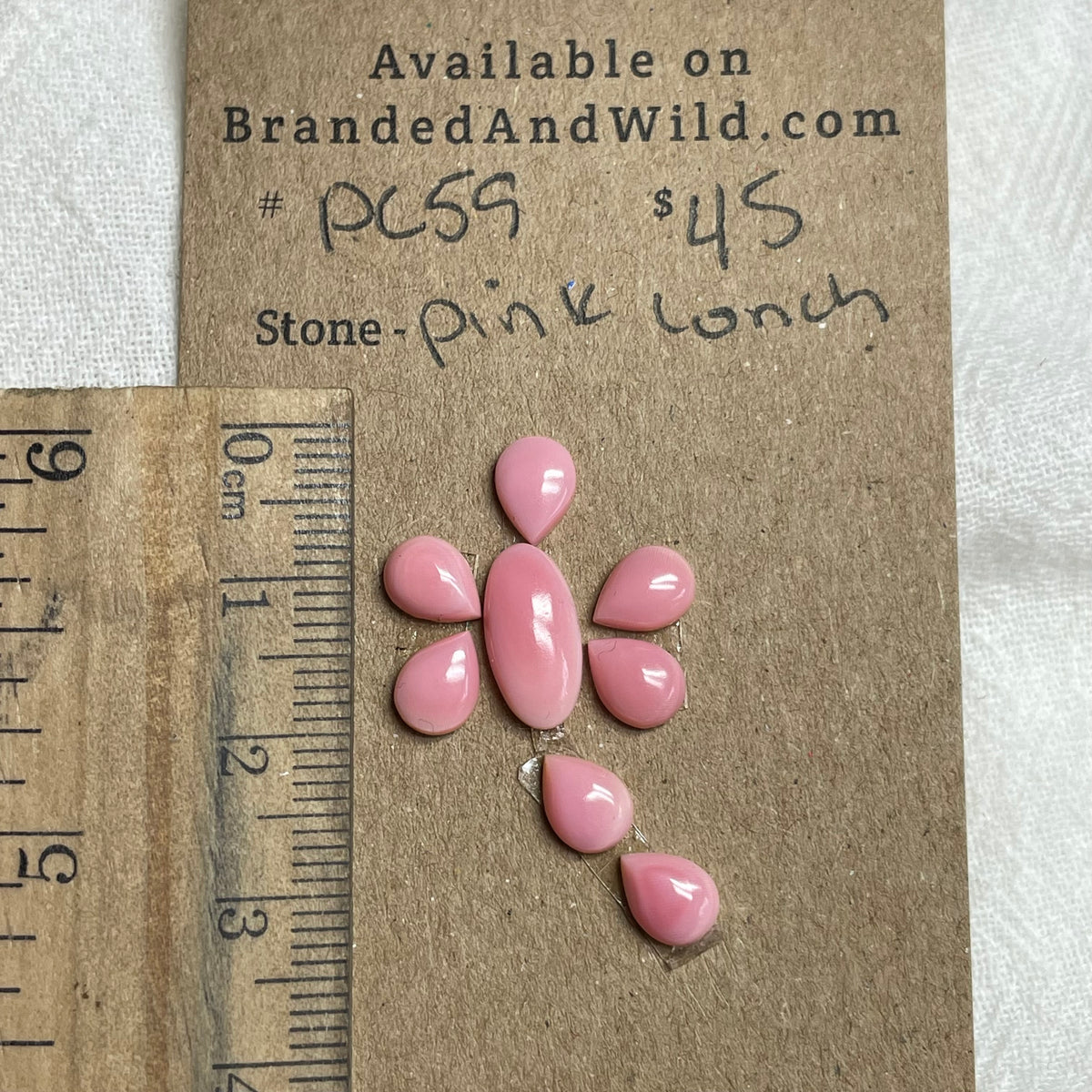 Pink Conch Cabochon - PC59 95E77680-D7EA-4650-93F3-C607A6D8A443 Brandedandwild.com