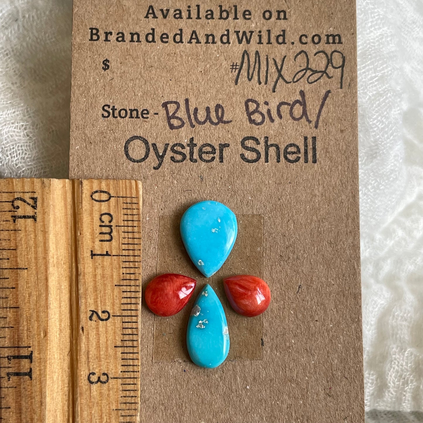 Oyster Shell / Blue bird Cabochon - MIX228