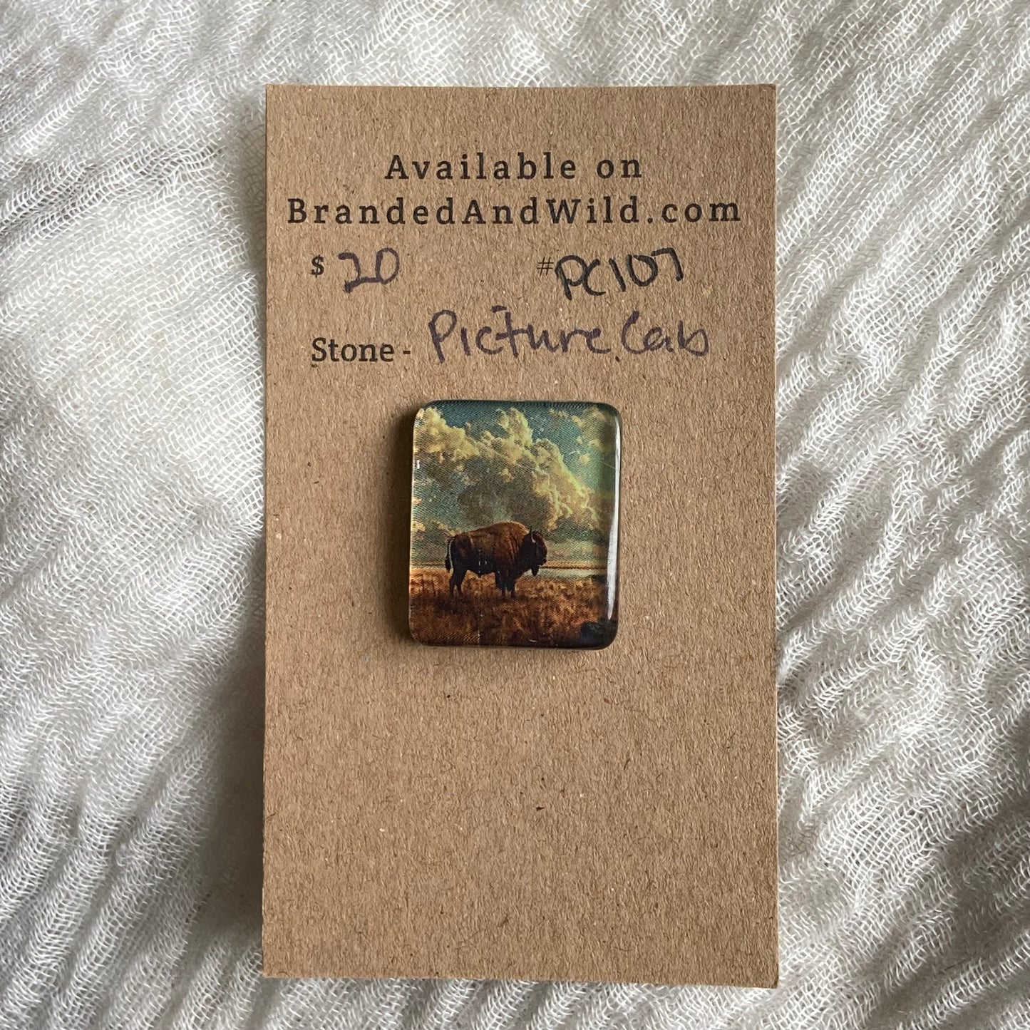 Picture Cabochon - Cabochon - PC97 962338FA-F20F-46D4-8473-4CAA343CBEDA Brandedandwild.com