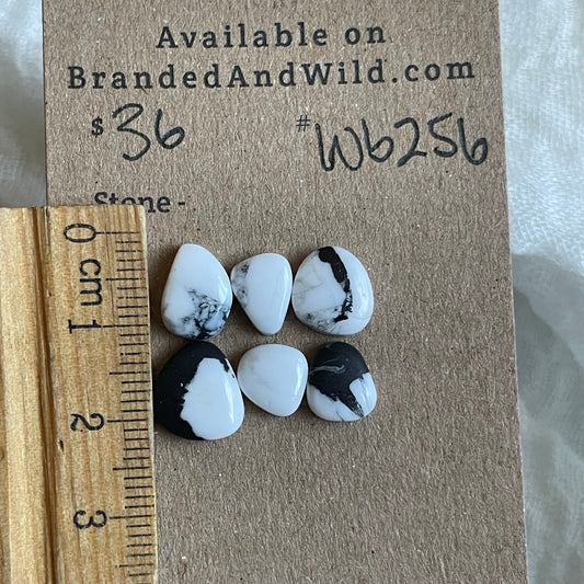 White Buffalo Cabochon - WB256