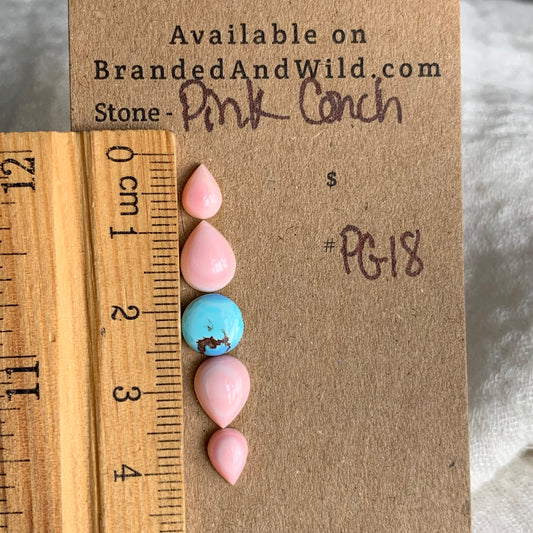 Pink Conch/Golden Hill Cabochon - PG18