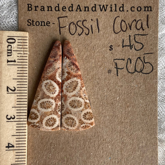 Fossil Coral Cabochon - FC05