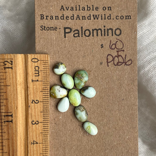 Palomino Cabochon - P056