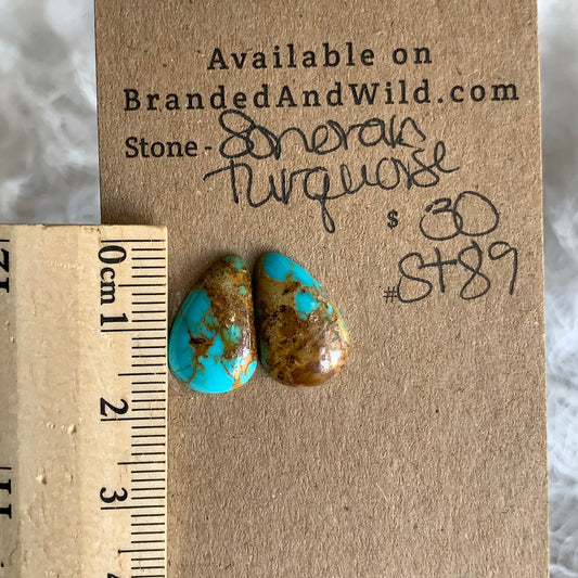 Sonoran Turquoise Cabochon - ST89