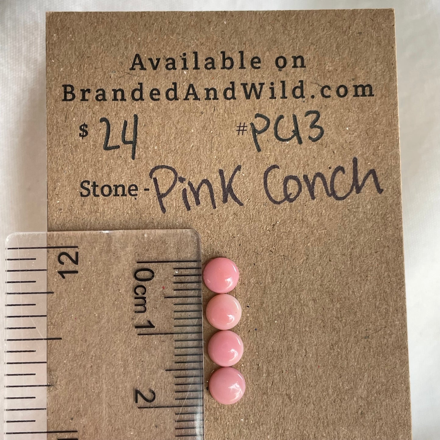 Pink Conch Cabochon - PC13