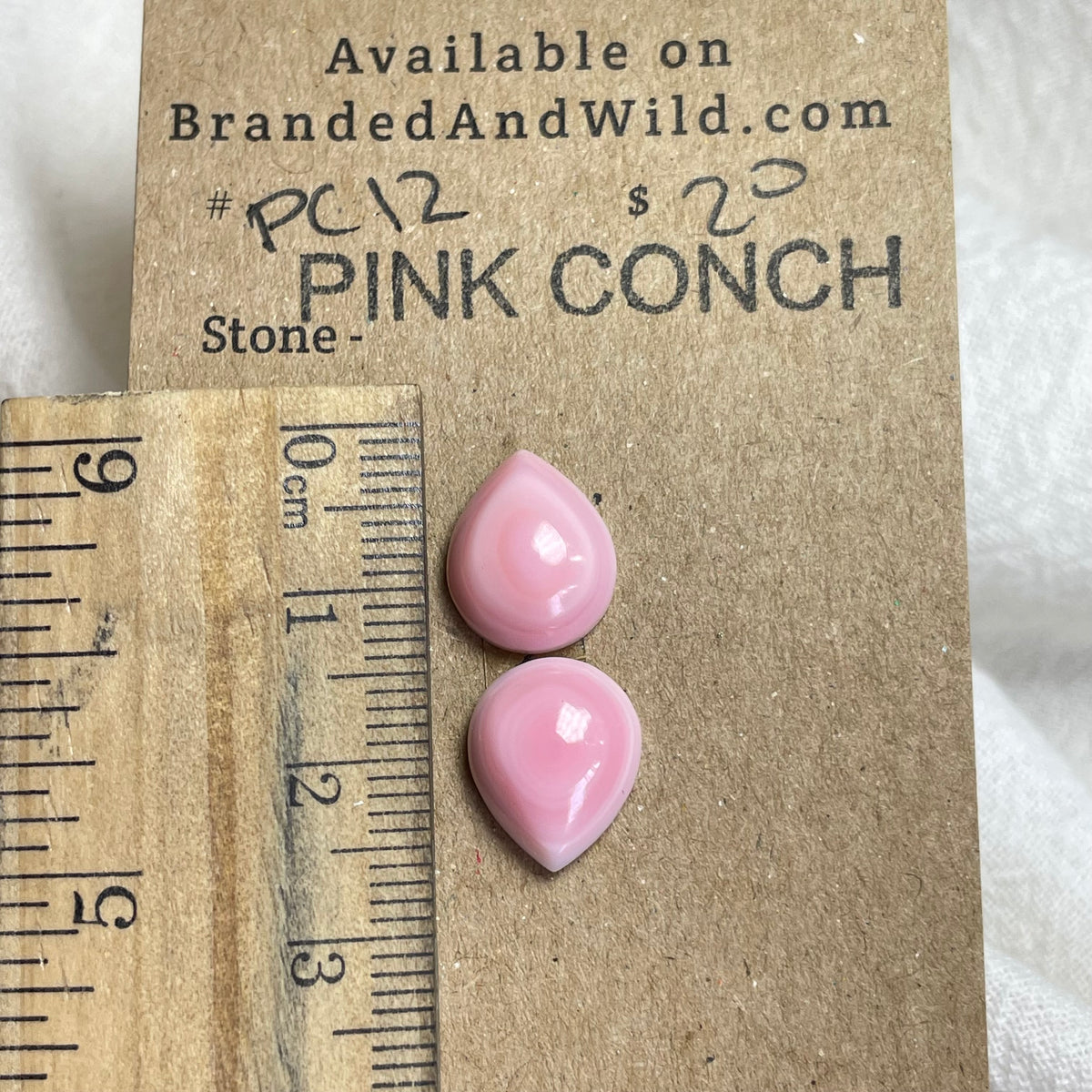 Pink Conch Cabochon - P012 9685DA0E-8167-4BC2-ACFB-D8213B423AB4 Brandedandwild.com