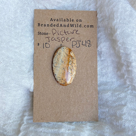 Picture Jasper Cabochon - PJ48