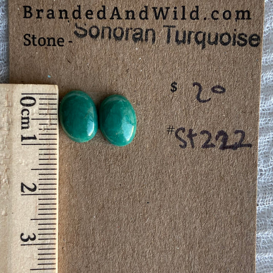 Sonoran Turquoise Cabochon - ST222
