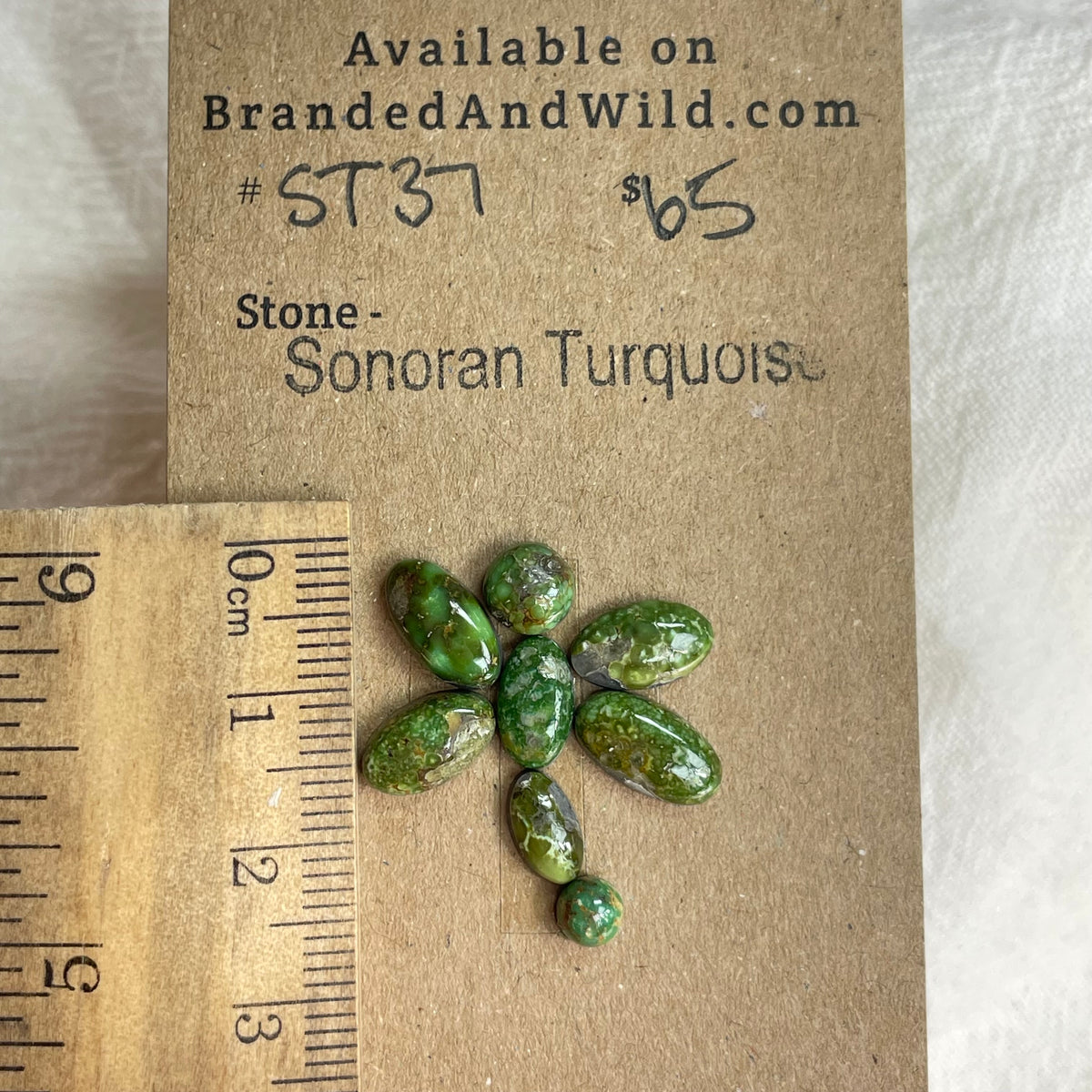 Sonoran Turquoise Cabochon - ST37 96DDB47C-B3B0-498C-93E0-B959D4B6EE79 Brandedandwild.com