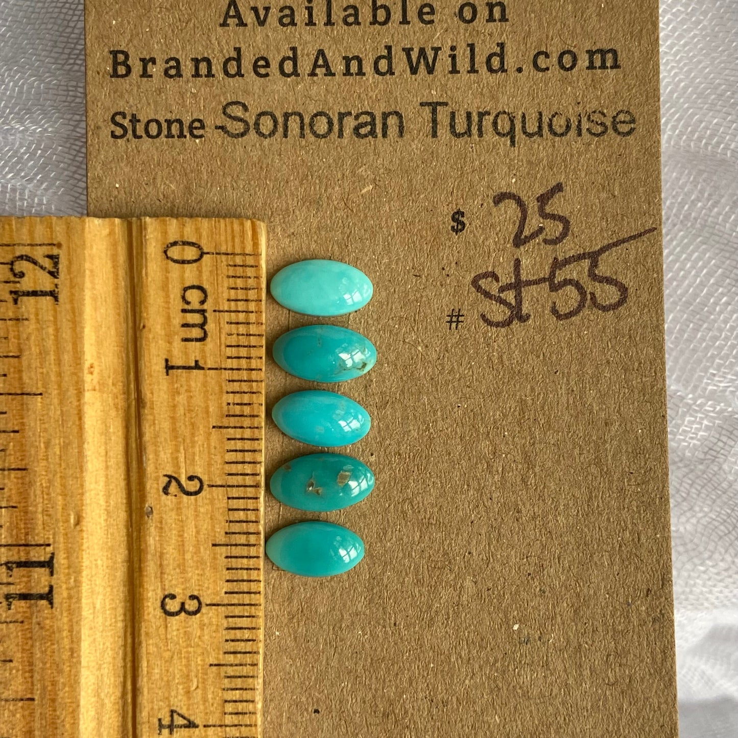 Sonoran Turquoise Cabochon - ST55