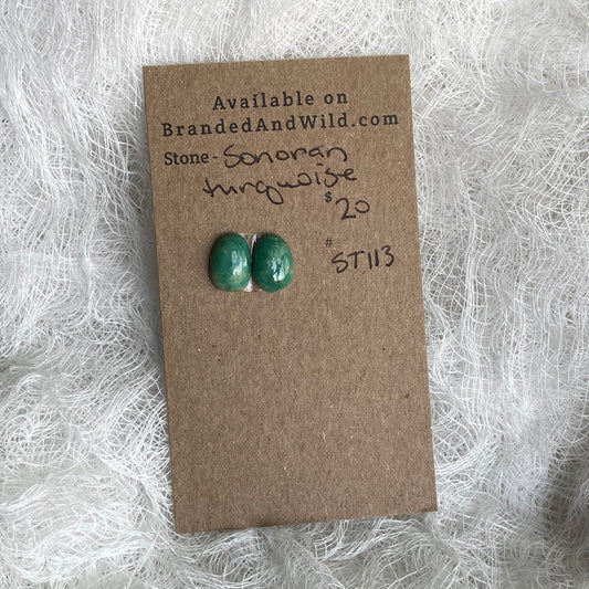 Sonoran Turquoise Cabochon - ST29