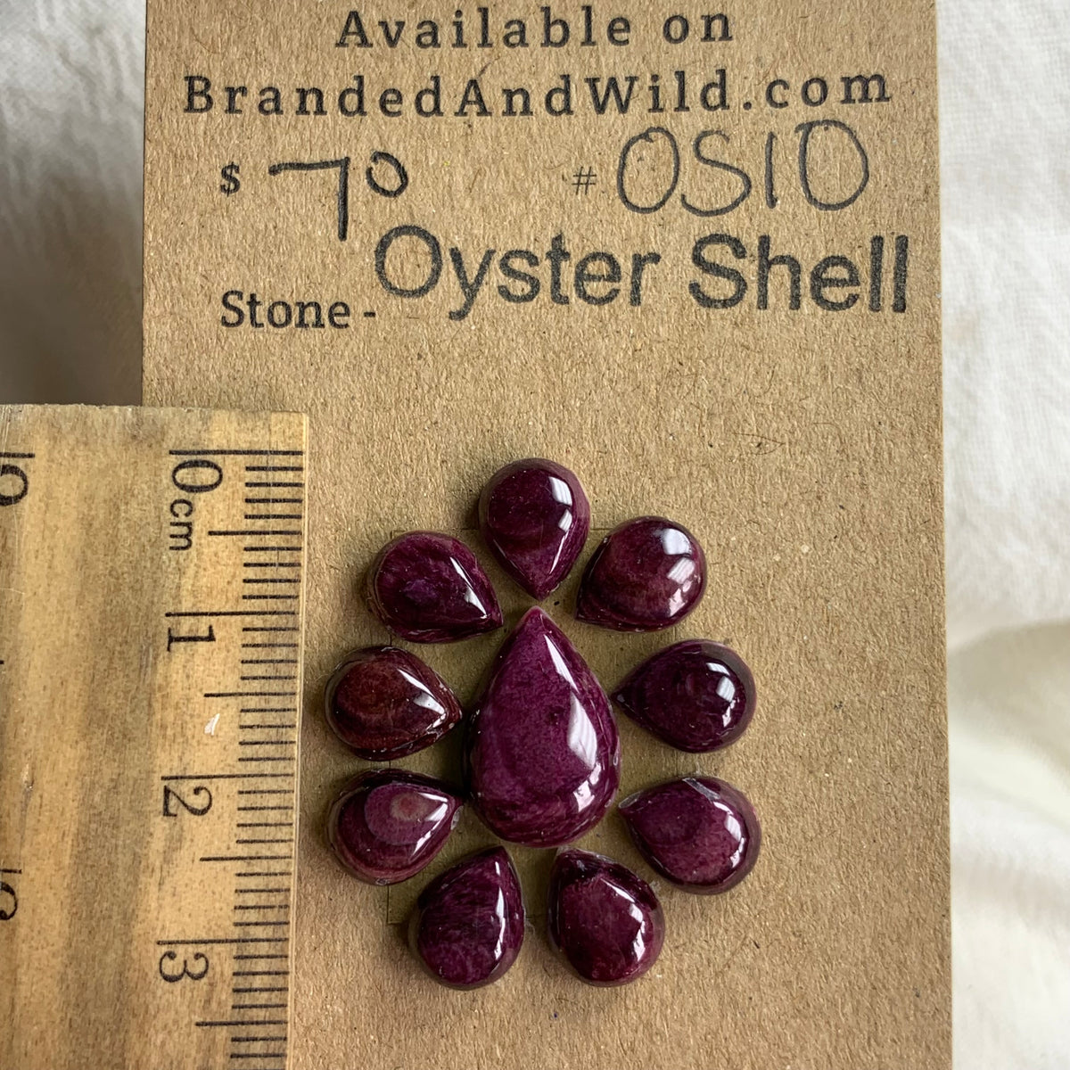 Oyster Shell Cabochon - OS10 970663DD-F68A-48D9-8140-D549BCB36C17 Brandedandwild.com