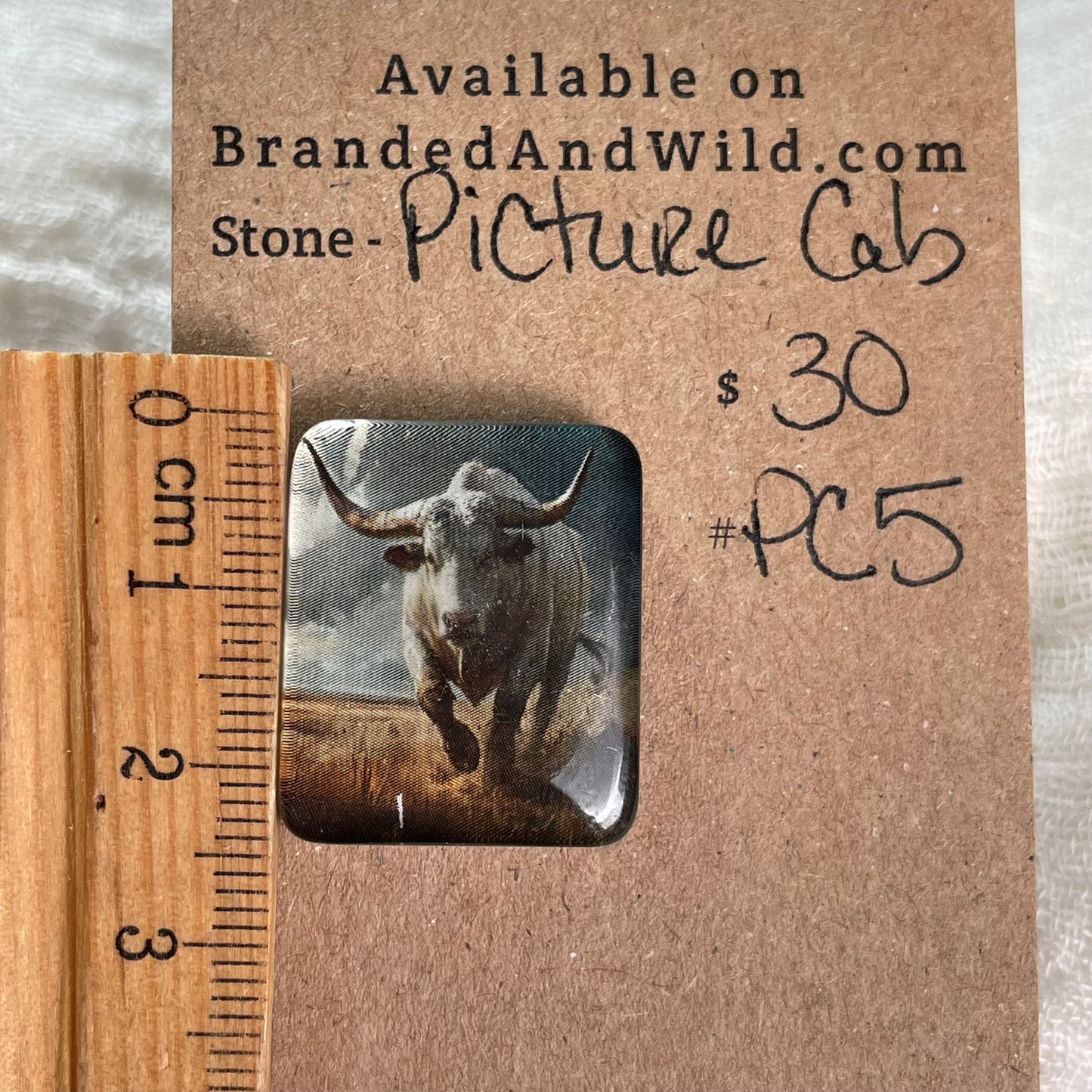 Picture Cabochon - Cabochon - PC5 970A1FEB-9F91-42F1-AF2E-B04FB4378784 Brandedandwild.com