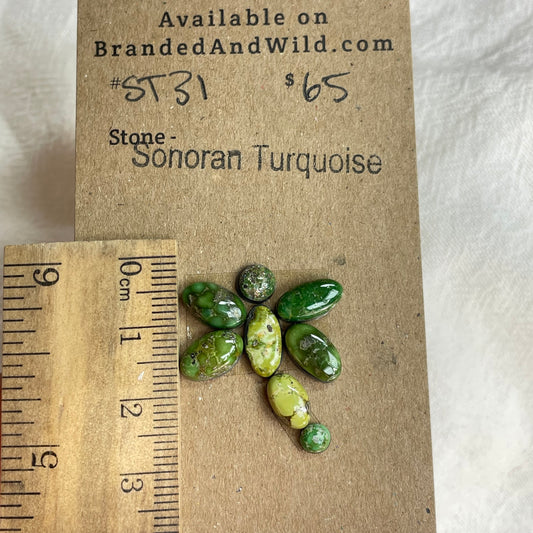 Sonoran Turquoise Cabochon - ST31 971E52C2-AD94-4AAB-AABF-46483D436528 Brandedandwild.com