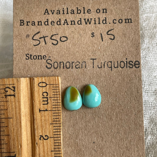 Sonoran Turquoise Cabochon - ST50 972F1C89-ACB8-418B-91F1-A0A45EDE2DA3 Brandedandwild.com