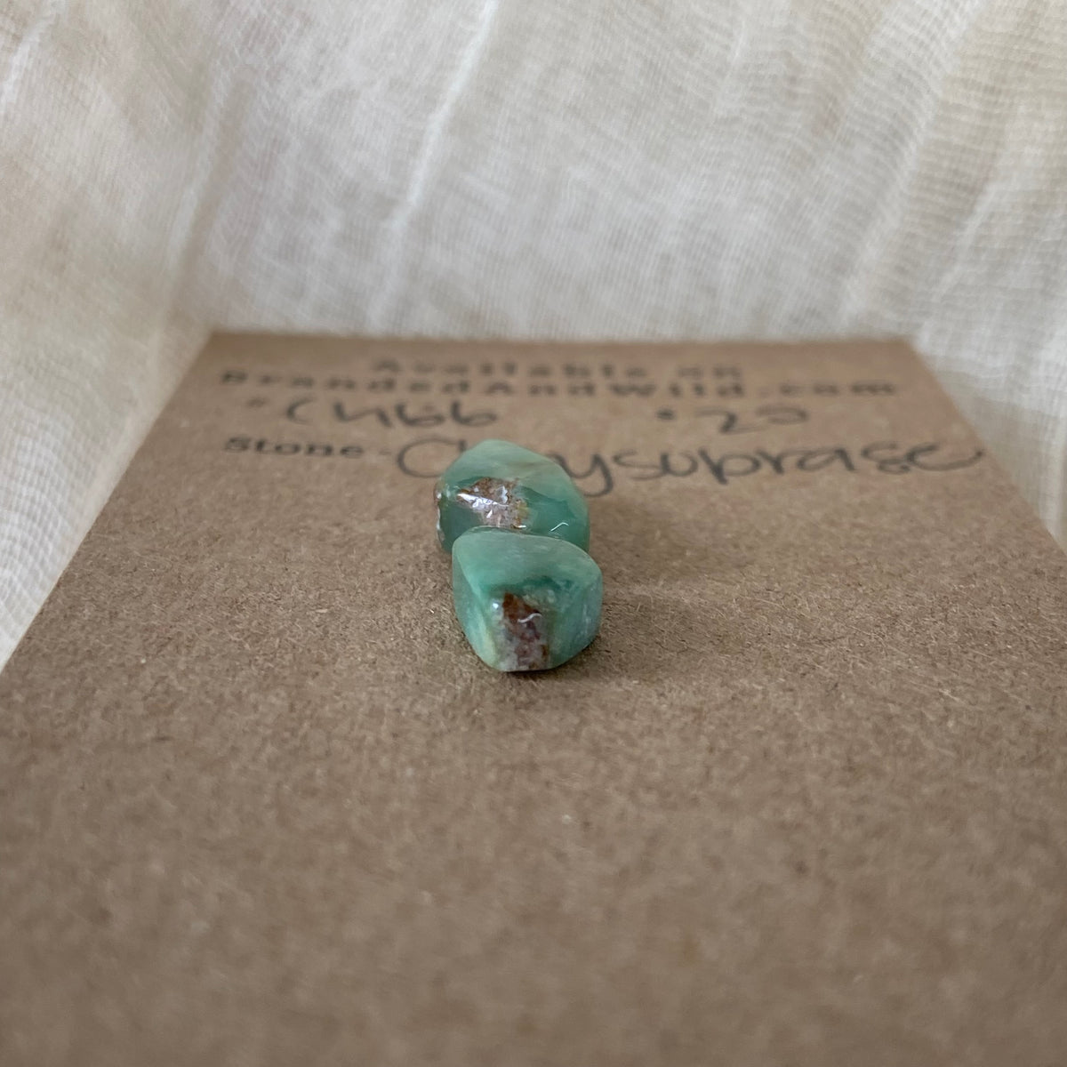 Chrysoprase Cabochon - Ch66 974459FA-18C4-4929-8739-F57985F4E7C5 Brandedandwild.com