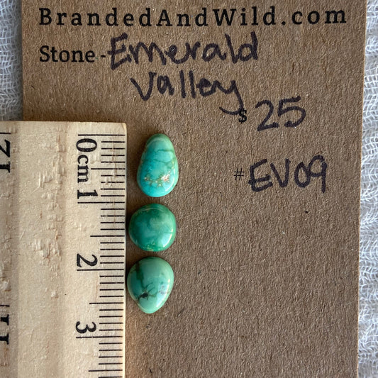 Emerald Valley Turquoise Cabochon - EV09