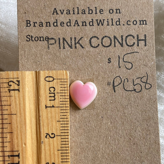 Pink Conch Cabochon - PC58