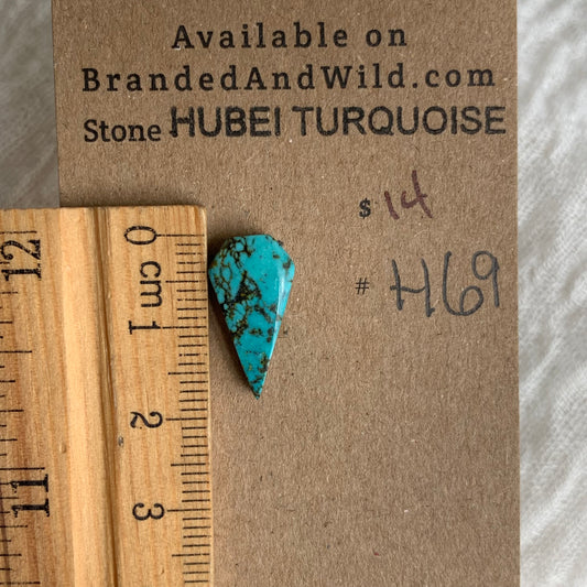 Hubei Turquoise Cabochon - H69