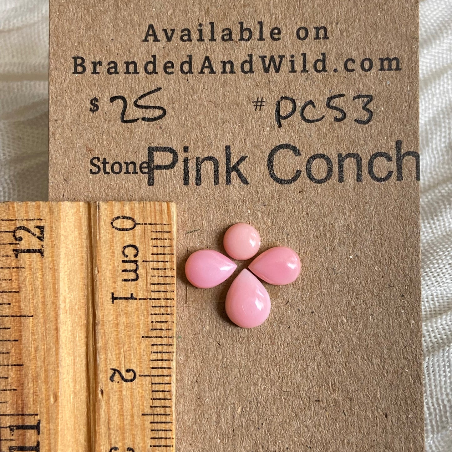 Pink Conch Cabochon - PC53 979B5456-4351-4EC4-B552-BE0FE70EB24E Brandedandwild.com