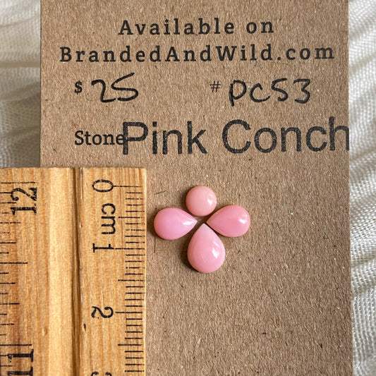 Pink Conch Cabochon - PC53 979B5456-4351-4EC4-B552-BE0FE70EB24E Brandedandwild.com