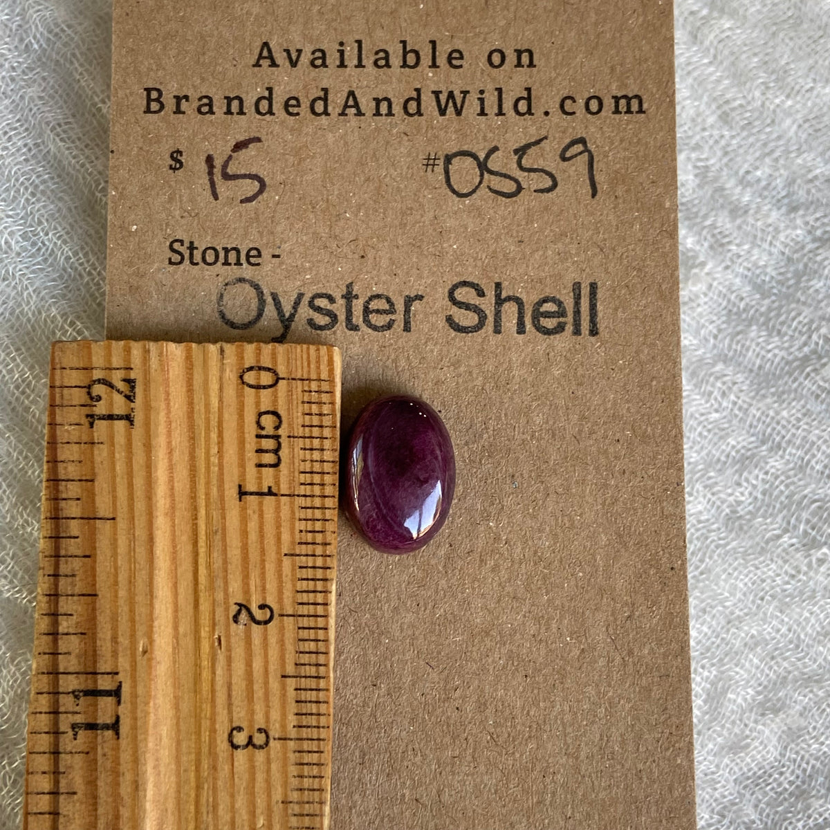 Oyster Shell Cabochon - OS59