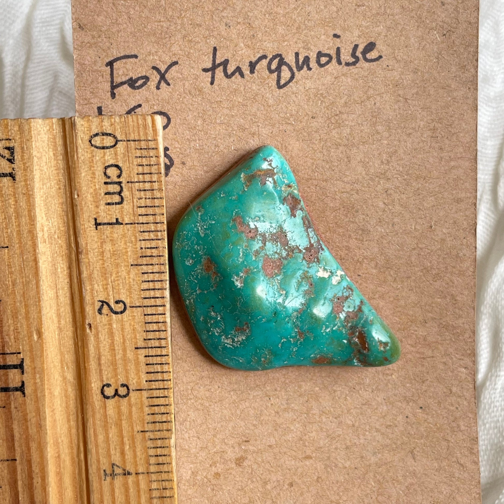 Fox Turquoise Cabochon - FT14 97F017F3-9CF2-4454-B649-56F54A995EB5 Brandedandwild.com
