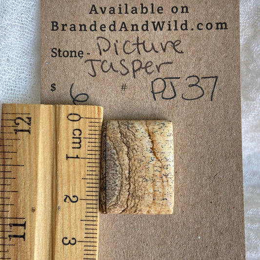 Picture Jasper Cabochon - PJ37