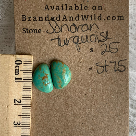 Sonoran Turquoise Cabochon - ST75