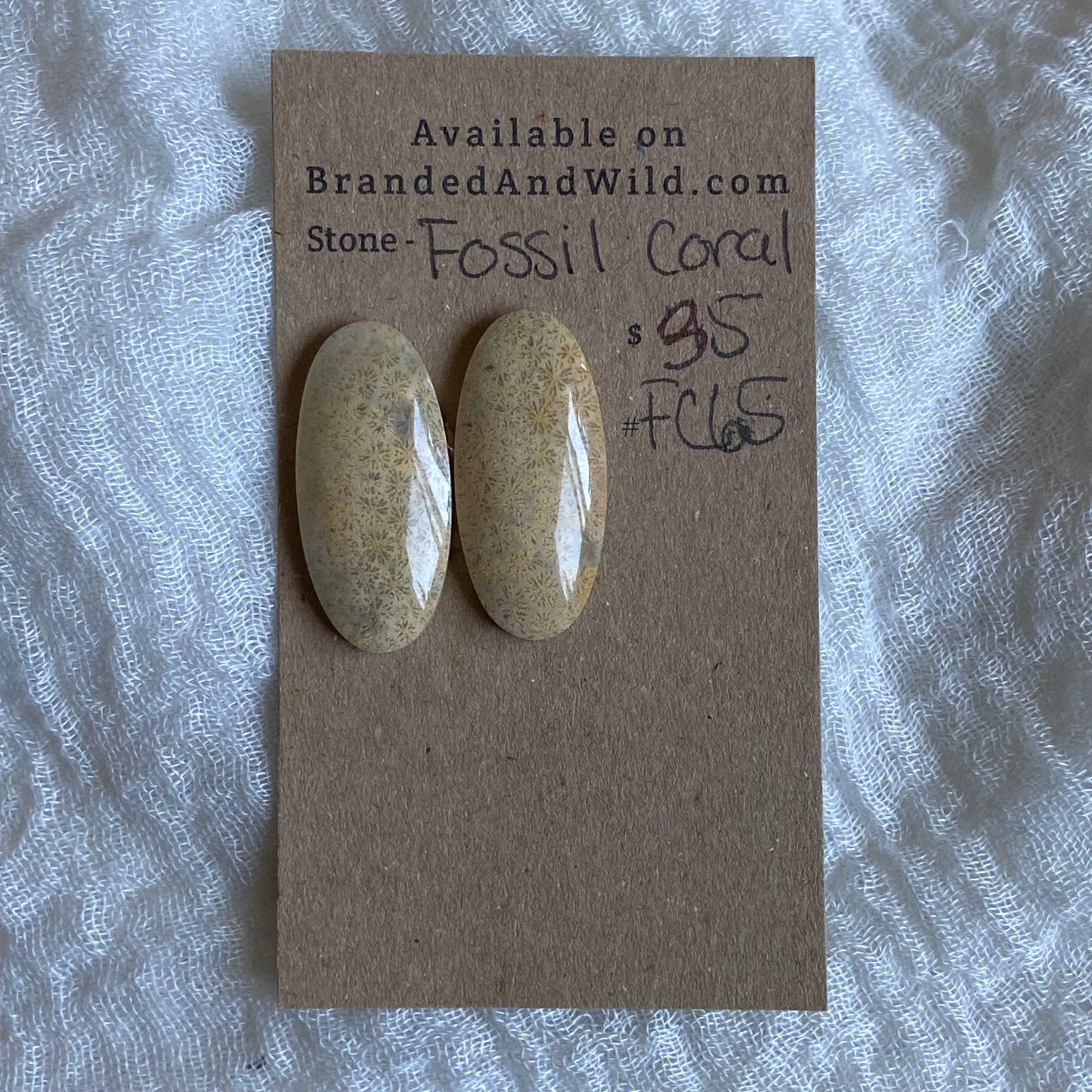 Fossil Coral Cabochon - FC65