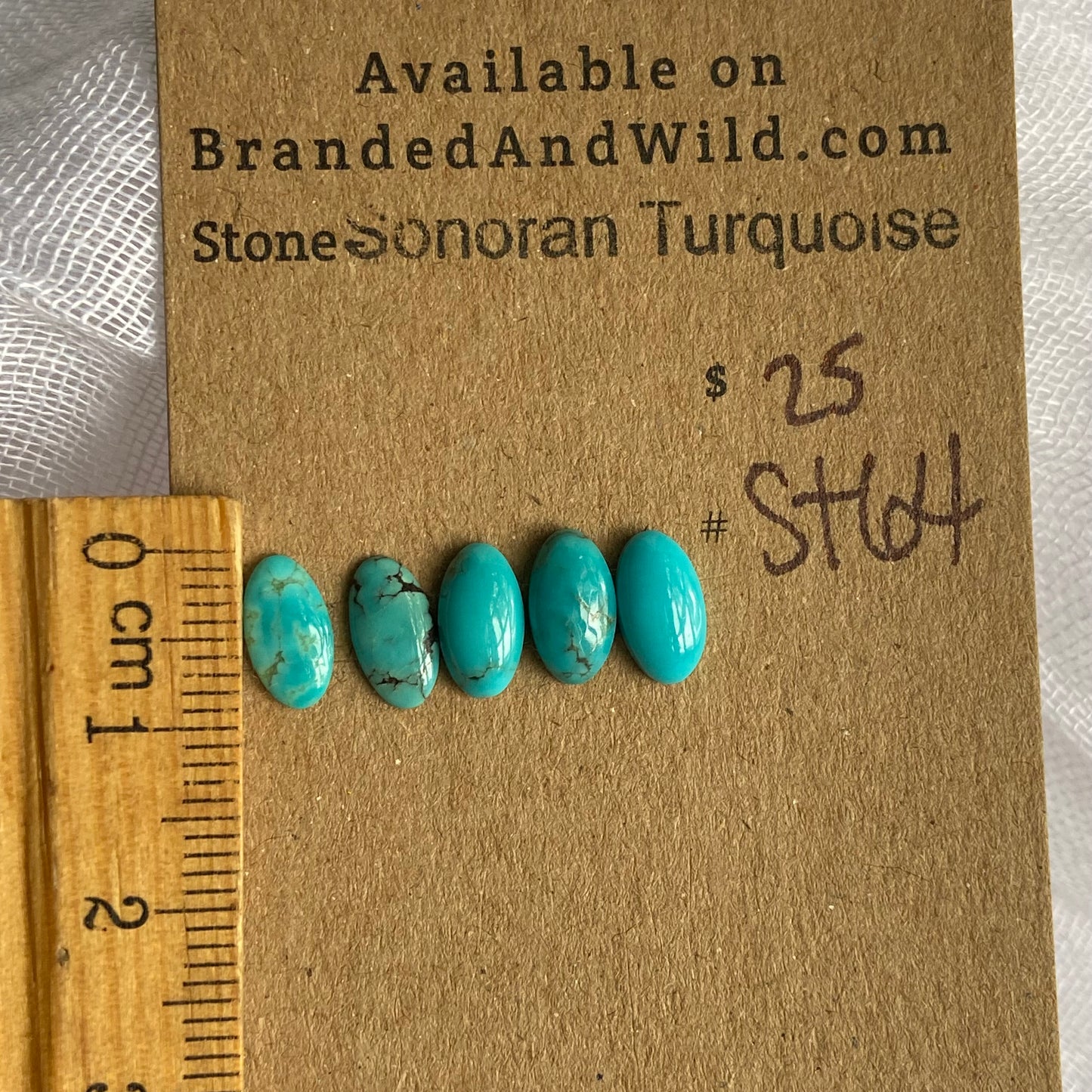 Sonoran Turquoise Cabochon - ST64