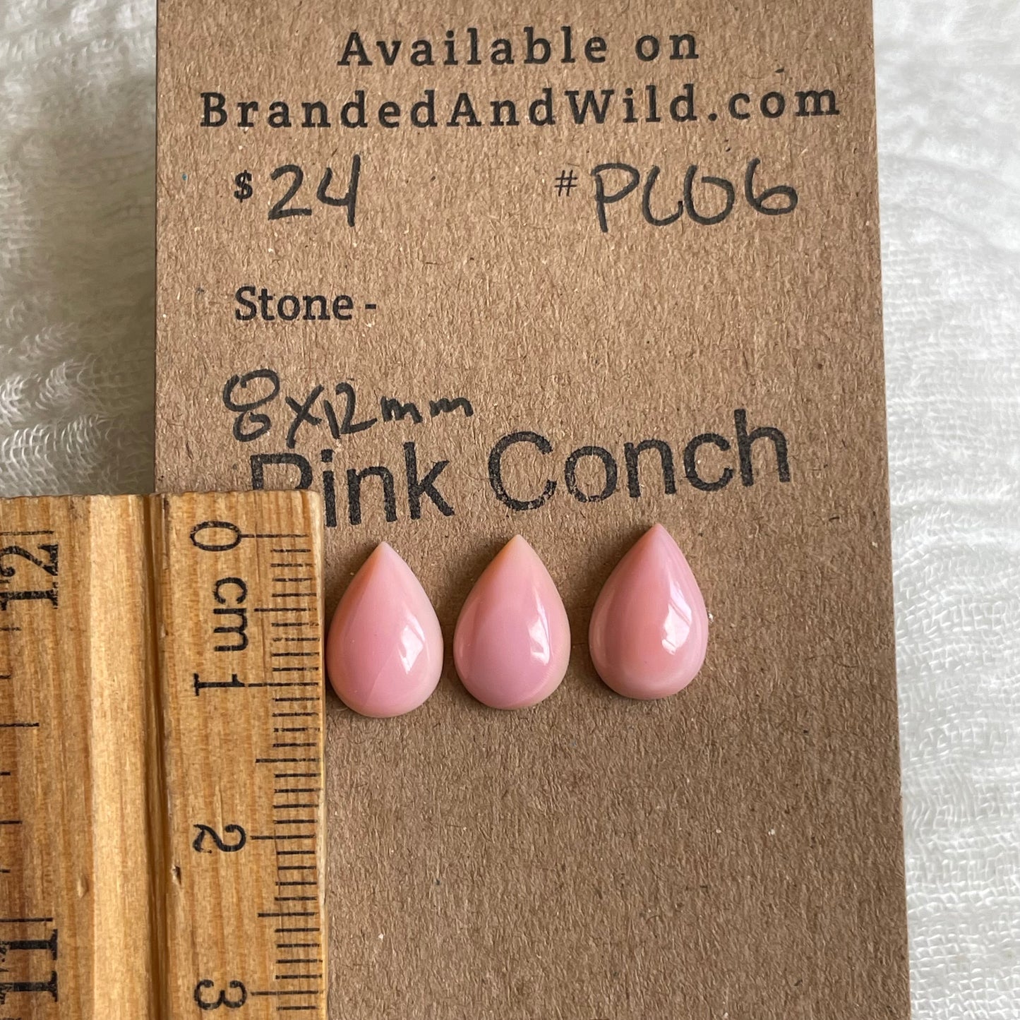 Pink Conch Cabochon - PC06