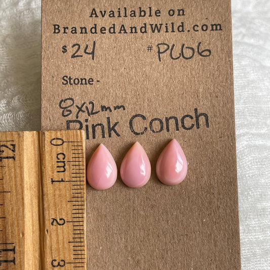 Pink Conch Cabochon - PC06